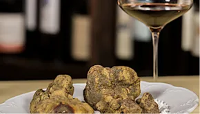 WINE TO PAIR WITH TRUFFLES: WHICH ONE TO CHOOSE?