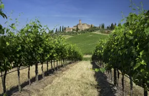 CASTELLO BANFI NAMED WINERY OF THE YEAR, EUROPE