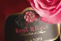 Rosa Regale 2015